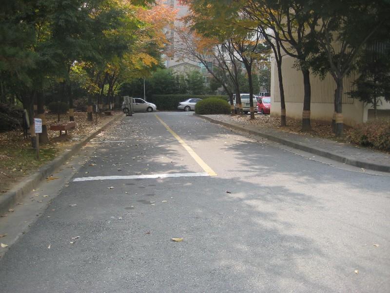 사진 268