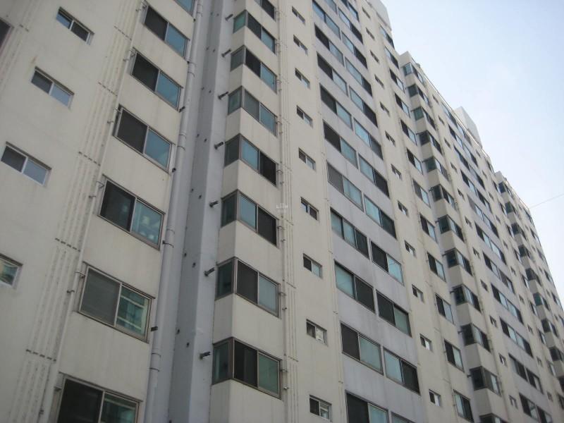 사진 270