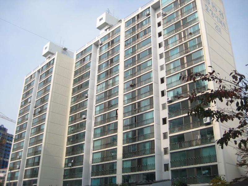 사진 271