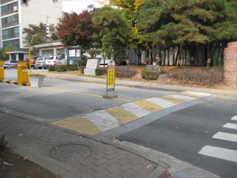 사진 265
