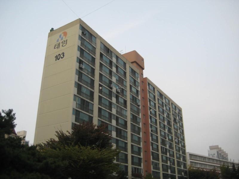 사진 462