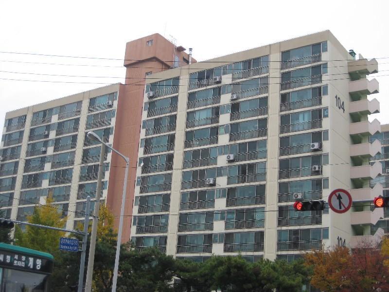 사진 455