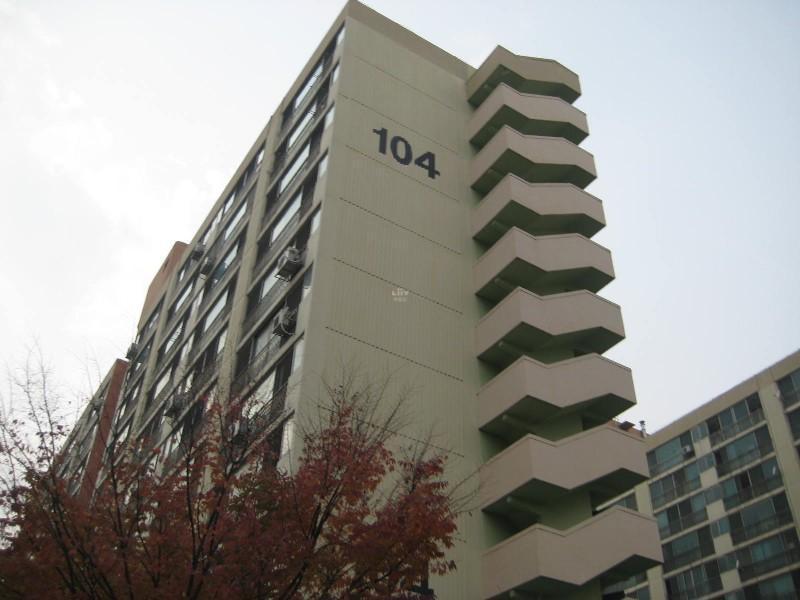 사진 457