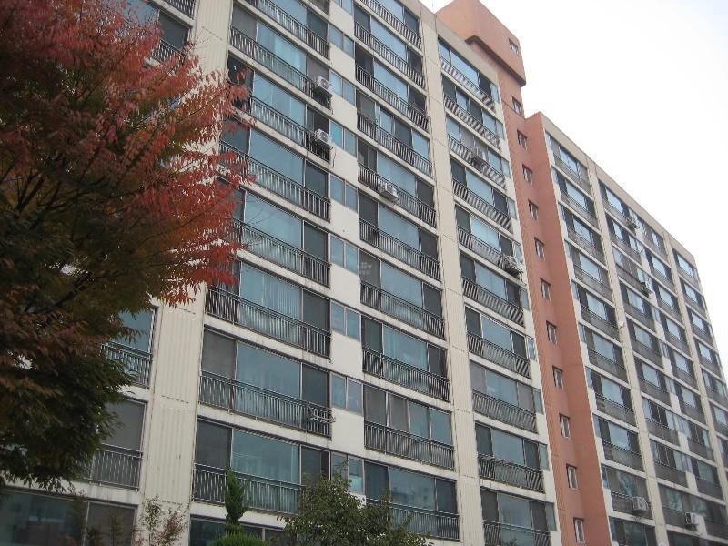 사진 458