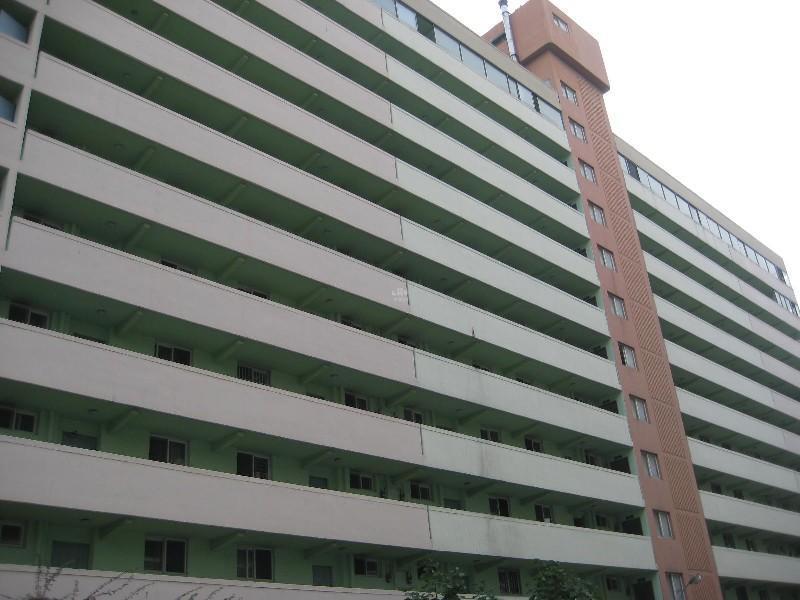 사진 461