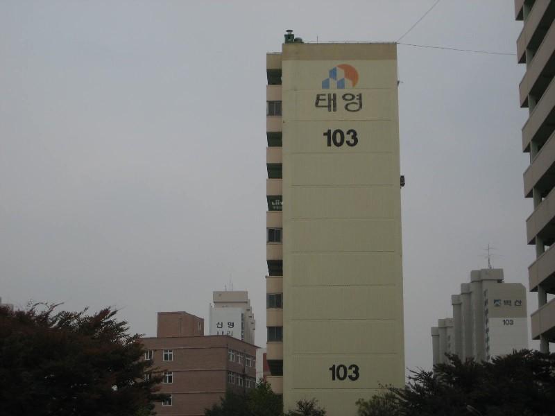 사진 471