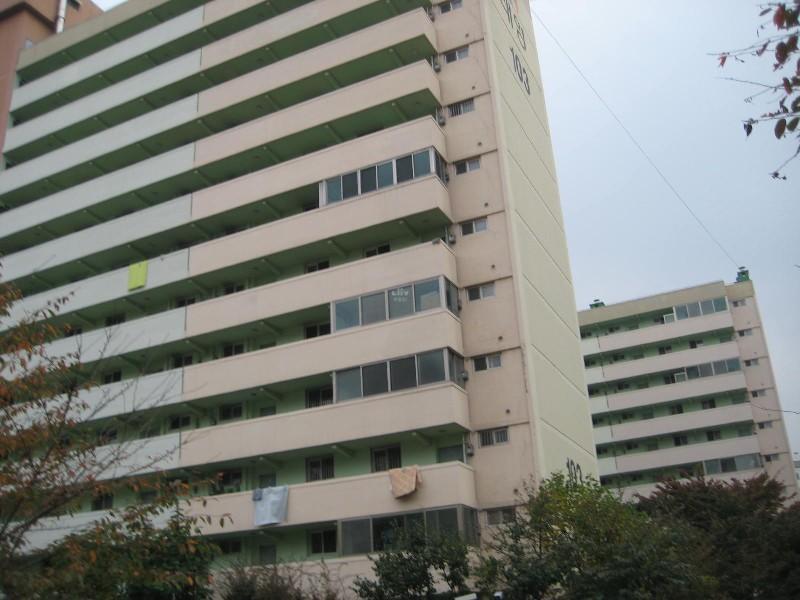 사진 473