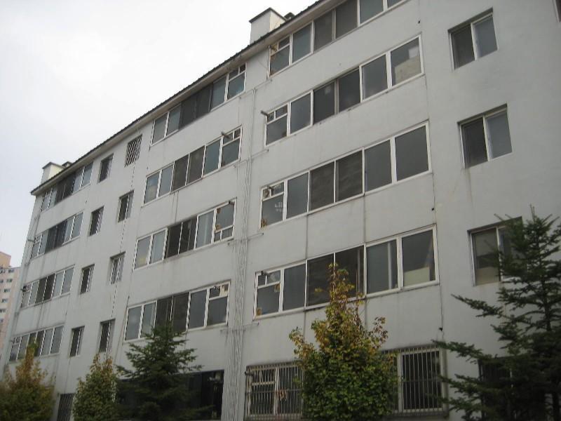 사진 628
