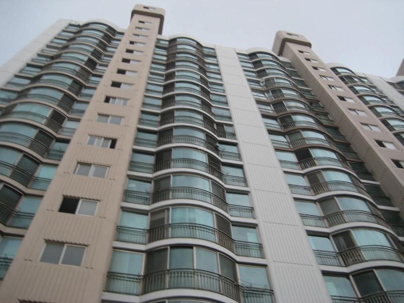 사진 330