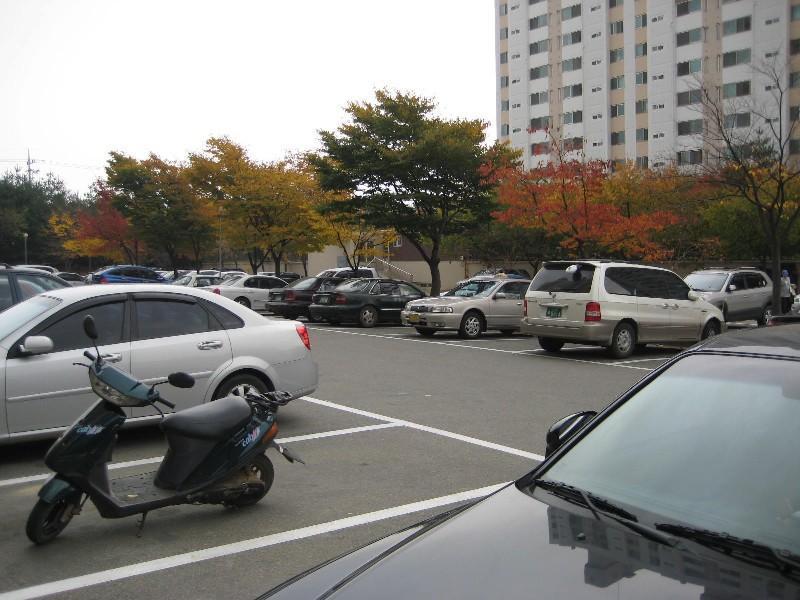 사진 328