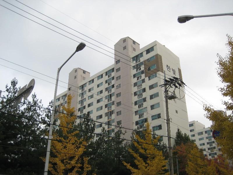 사진 303