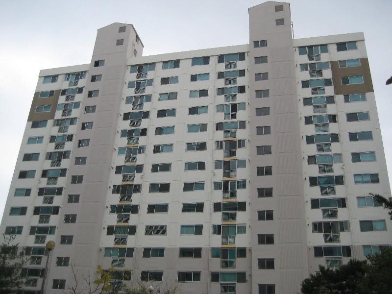 사진 305