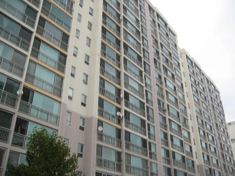 사진 307