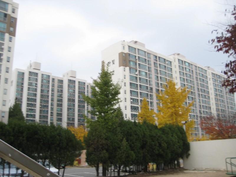 사진 316