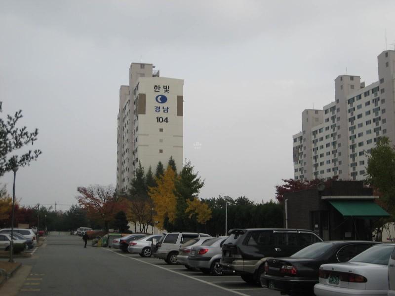 사진 312