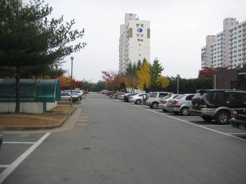 사진 313