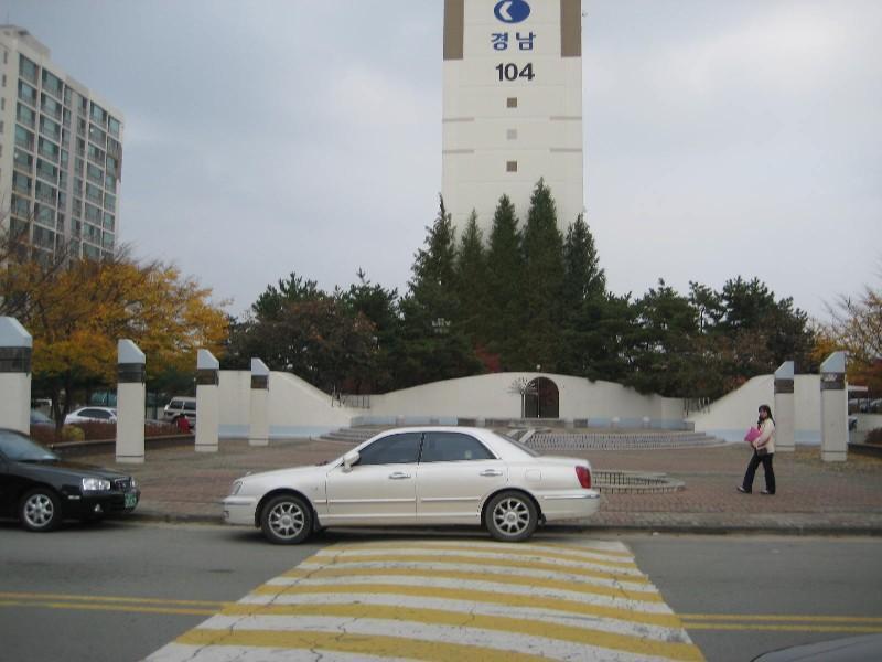 사진 317