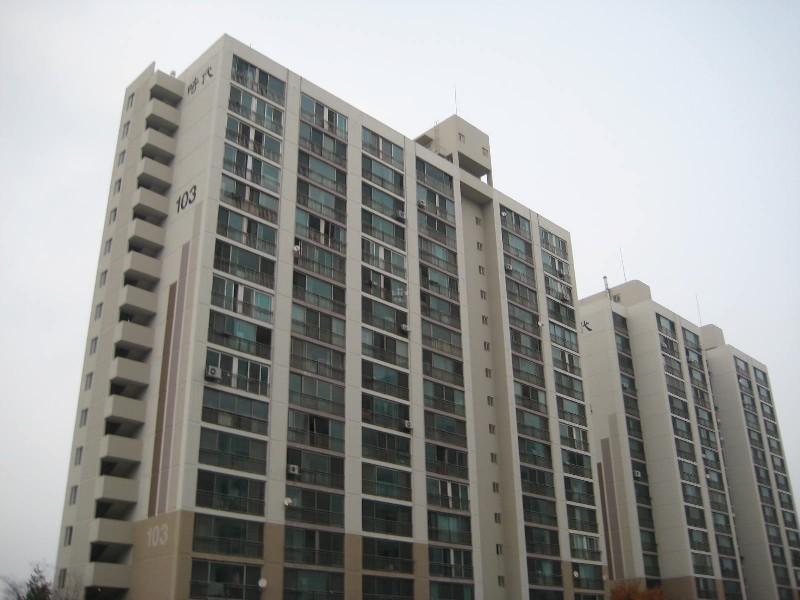 사진 481