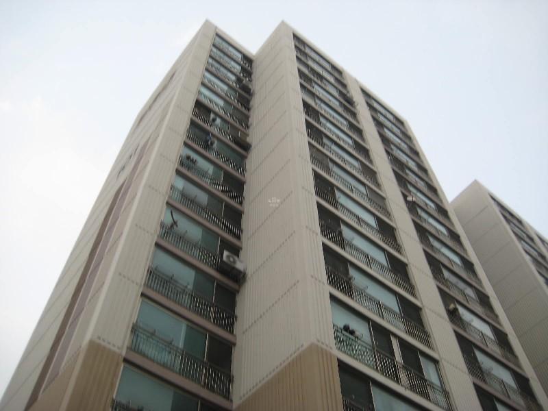 사진 478