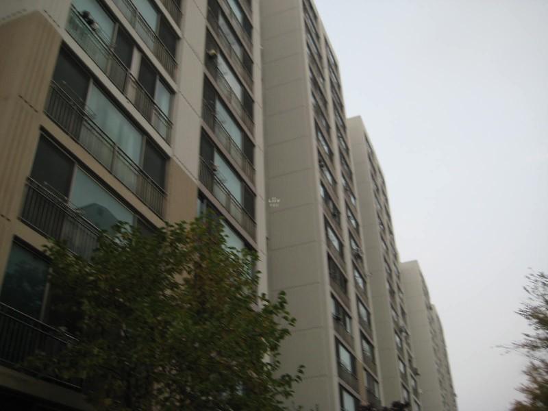 사진 479