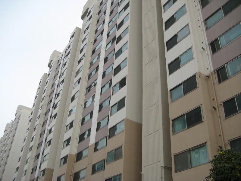 사진 482