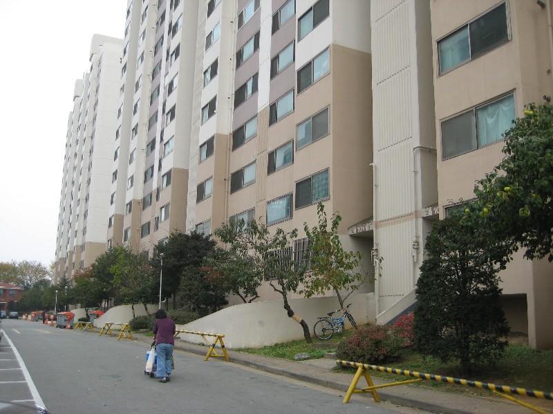 사진 483