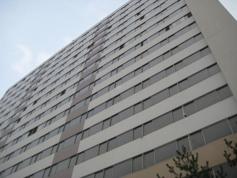 사진 488