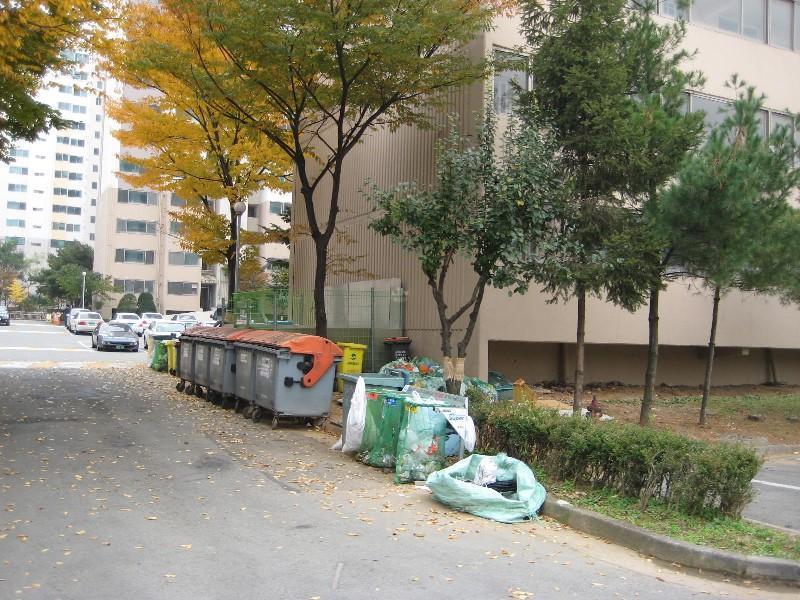 사진 491