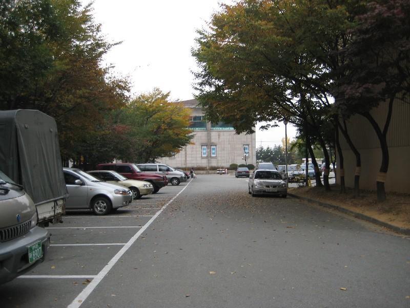 사진 476