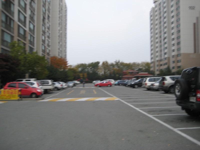 사진 485