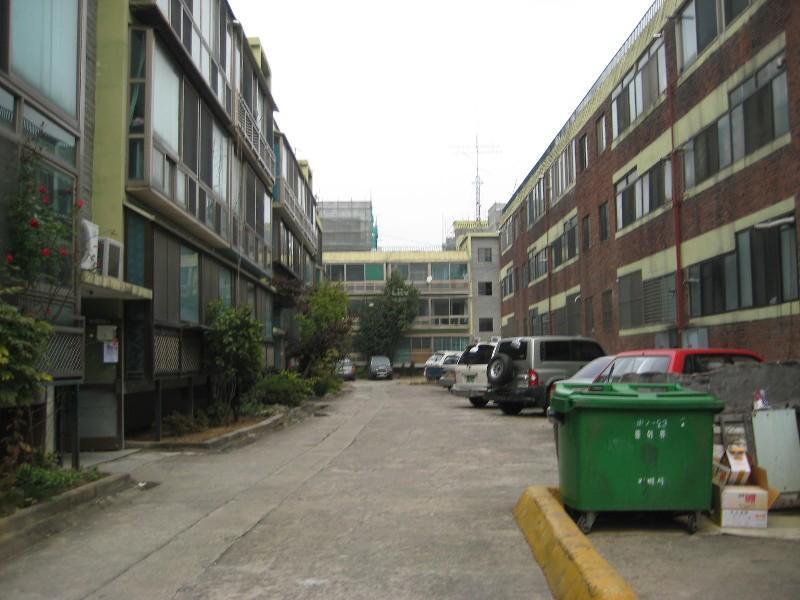 사진 613