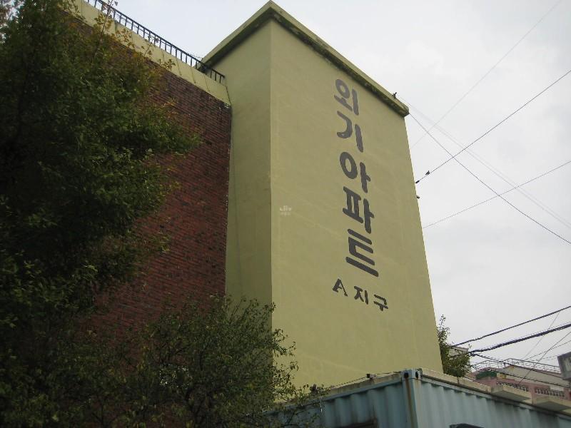 사진 605
