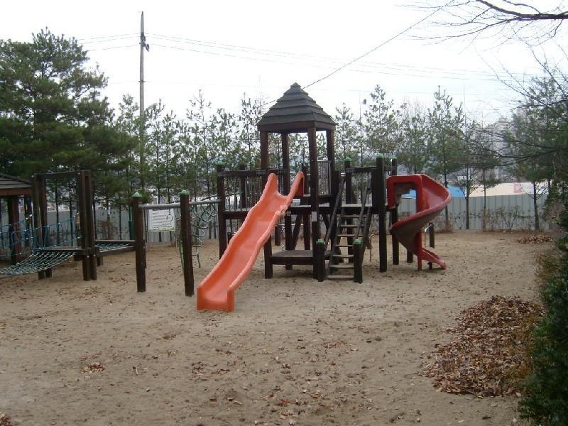 사진 289