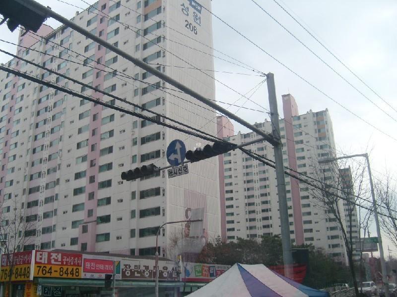 사진 277