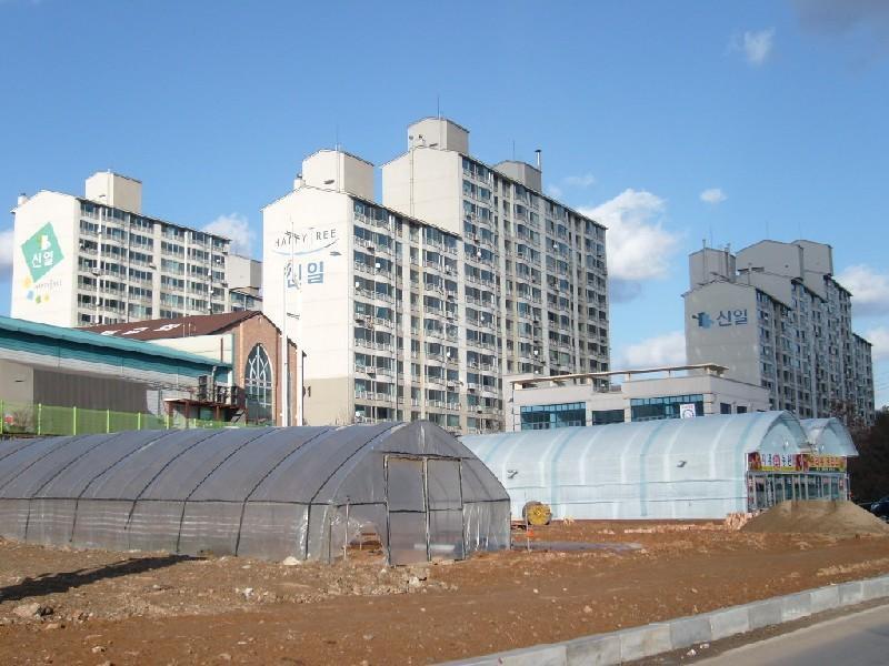 사진 283