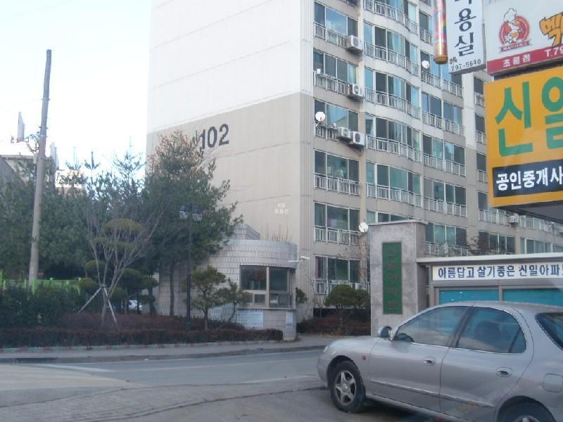 사진 286