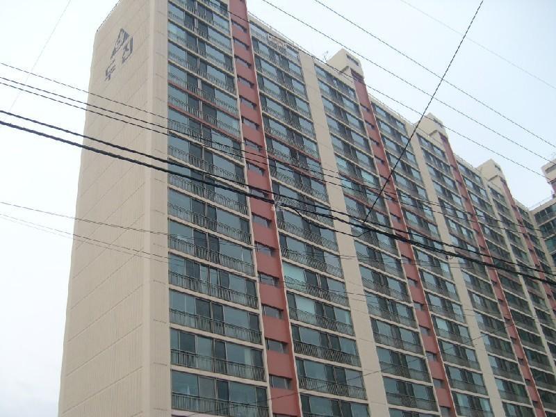 사진 169