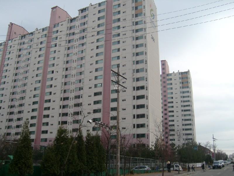 사진 300
