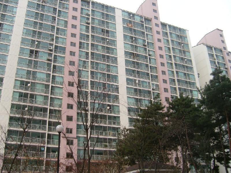 사진 305