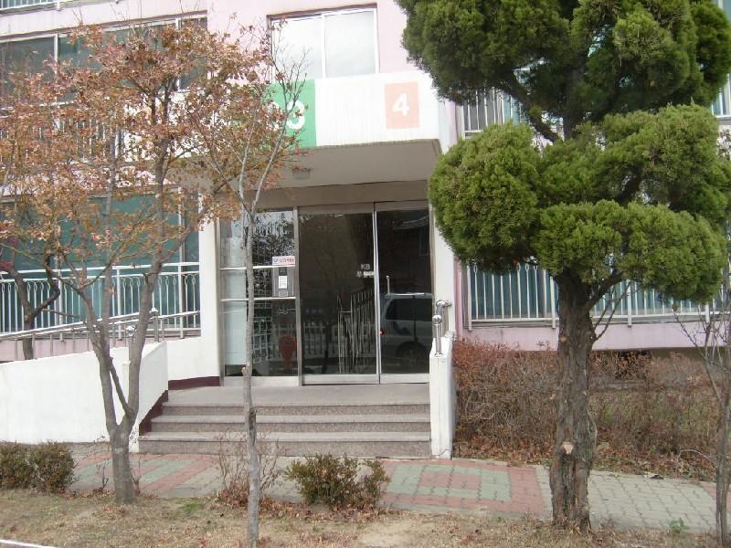 사진 311