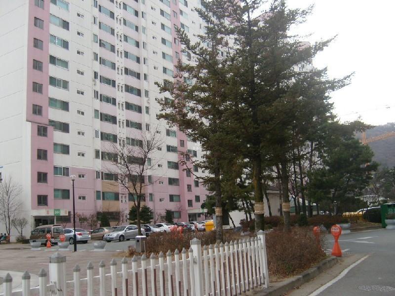 사진 313