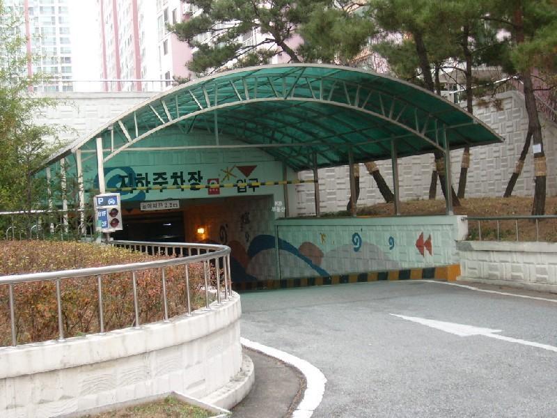 사진 295