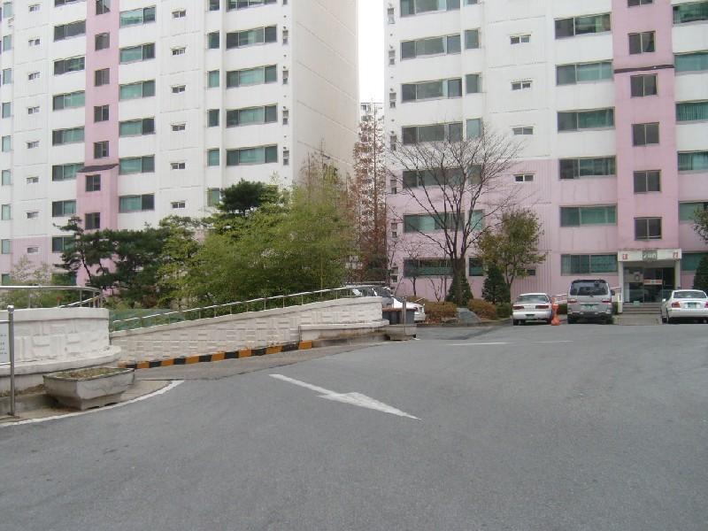 사진 298
