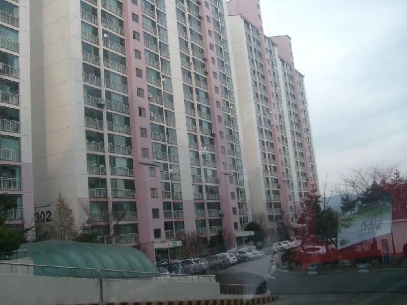 사진 306