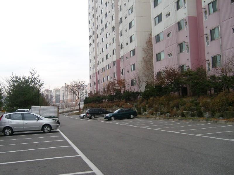 사진 312
