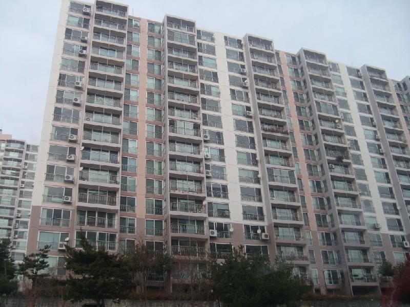 사진 005