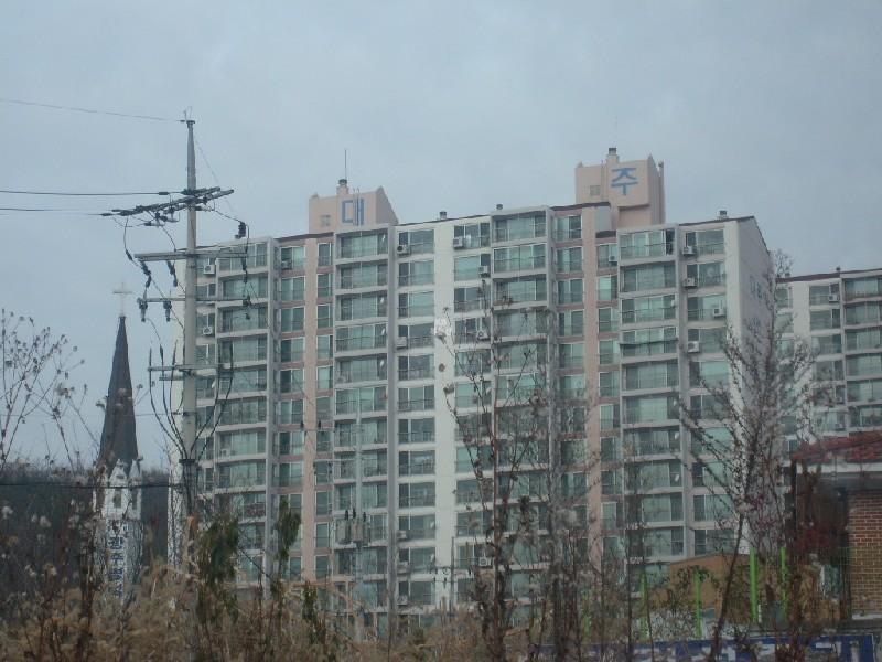 사진 003
