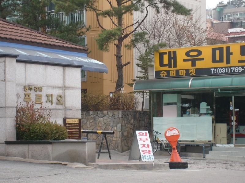 사진 161