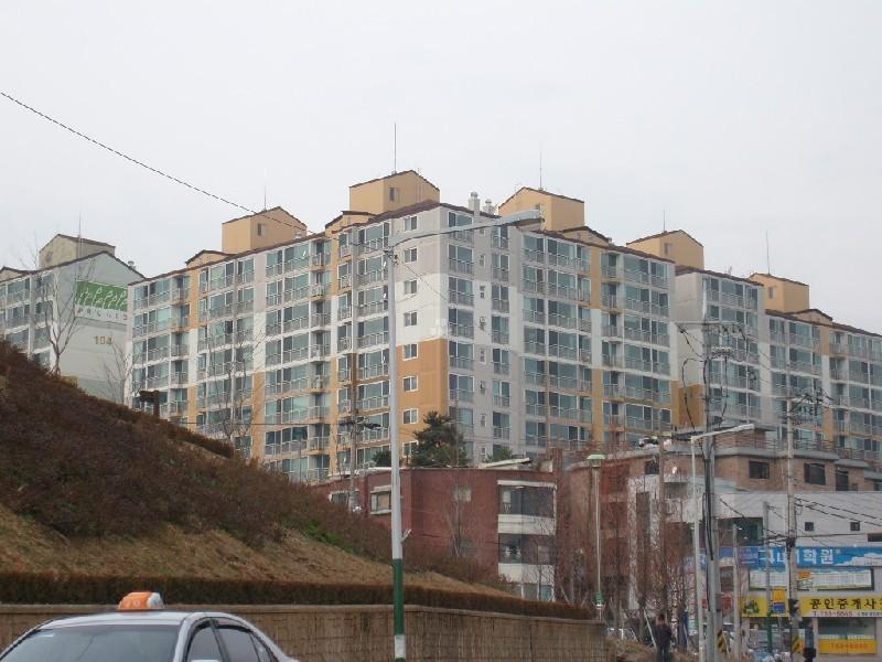 사진 144