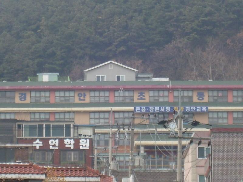 사진 157